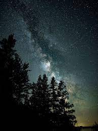 The park was designated an official dark sky park in may 2011 by the international dark sky association. The 7 Best Spots For Stargazing In Michigan