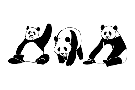 The svg <animate> element provides a way to animate an attribute of an element over time. Cute Panda Silhouettes