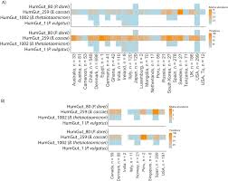 Image result for Bacteroidaceae