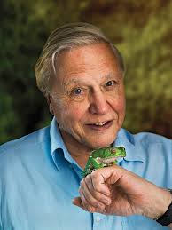 What is Biocentrism?