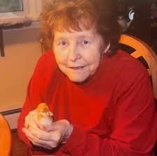 Obituary for Sheila N. (Nugent) Spinney