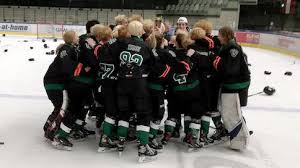 Die 16 teams werden für die vorrunde in zwei gruppen eingeteilt. Ligen Eishockey At