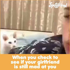 When You Check To See If Your Girlfriend Is Still Mad At You You Mad Mad Face Your Girlfriends
