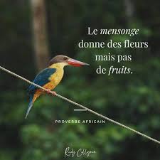 Que Penses Tu De Ce Proverbe Africain Je Le Trouve Pas Trop Mal Indiquez En Commentaire Un E Ami E Qui A Besoin D Insp Black Authors Author Writing