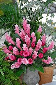 Jamaicans food national dish jamaica flower fruit jamaican recipes caribbean recipes jamaican carrot cake recipe jamaica. Tropical Flower Arrangements Gallery