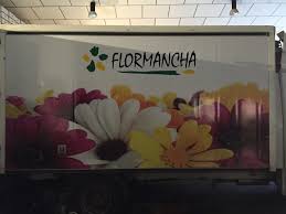 Flormancha