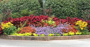 Weather charts have claimed that temperatures could reach highs of 22c next weekend but mr petagna said this is unlikely. Growing Annuals Home Garden Information Center