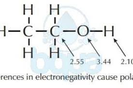 what is polarity polarity definition bqua