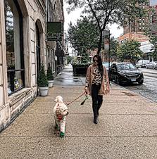 Discover the best places to workout in west loop. West Loop Dog Friendly Restaurants Downtown Apartment Company