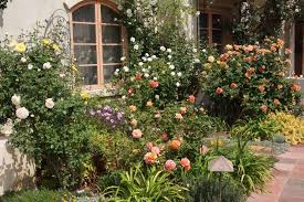 Piece Of Eden April Foolish Garden Rose Garden Garden Design