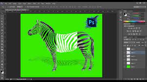 Photoshop Tutorial Making Transparent Zebra Photo Manipulation Photoshop Tutorial Photo Manipulation Photoshop