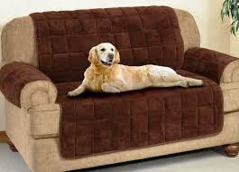 How to get dog hair off a couch. Get Dog Hair Off Couch Best Cleaning Tips For Clean Couch