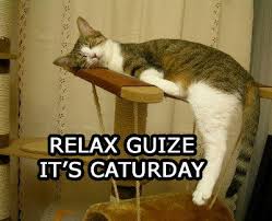 Funny saturday memes for work. Caturday Know Your Meme