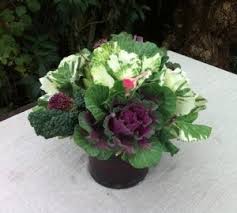 Bulk buy vegetable decorations online from chinese suppliers on dhgate.com. Fruit And Veggie Centerpieces Have A Plant
