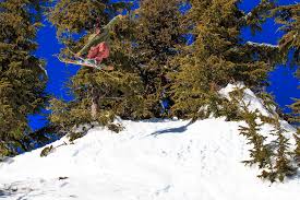 Hood on these guided hikes led by local expert jason roberts! Mount Hood Meadows Skiing Snowboarding Resort Guide Evo