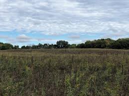 100 acres is an area of roughly. 100 Acres M L Cropland Timber Webster County Douglas Township Midwest Land Management Real Estate Farm Management Real Estate In Iowa Minnesota Illinois