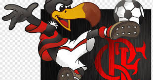 Análisis, predicciones, videos especiales, noticias y todo sobre el mejor torneo de. Club De Regatas De Flamenco Copa De Brasil 1981 Copa Libertadores Maracana Futbol Futbol Equipo Dibujos Animados Personaje De Ficcion Png Pngwing