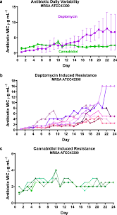 We would like to show you a description here but the site won't allow us. The Antimicrobial Potential Of Cannabidiol Communications Biology