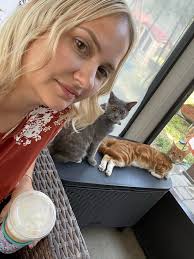 Lost orange and white cat in midland/midvale area