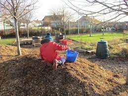 My tortoise seems happy digging around in them and the delivery was nice. Free Wood Chips Free Mulch Arbtalk Tip Site Directory