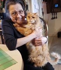 That is why it is important to discuss these costs and know of them, so you know what to expect if you. Susan Coady Obituary Peterborough On Community Alternative Funeral Cremation Services Ltd