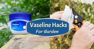 Beside above, how do you make fake cuts for halloween? 10 Vaseline Uses Hacks For Every Gardener Balcony Garden Web