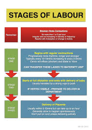Stages Of Labour Jpeg Jpg Stages Of Labor Labor Cervix
