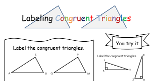 Proofs involving similar triangles step 1. Congruent Triangles Notes Pdf Geometry High School Line Graphs Geometry Triangles