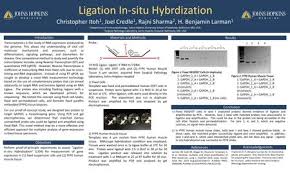 Figure 1. Workflow of the LISH assay. Step 1
