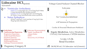 Image result for Sodium Channel Blocker