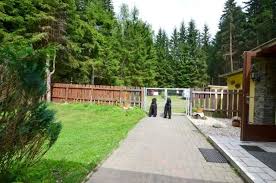 Eingezäunter agility spielpark/wiese beim hotel. 32 Reizend Urlaub Mit Hund Allgau Eingezaunter Garten Elegant Garten Anlegen