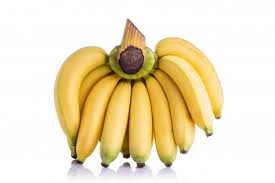 The dwarf cavendish banana tree gets its name because of its short stalk of eight to 10 feet. Premium Photo Bunch Of Yellow Cavendish Banana Studio Shot Isolated On White Background