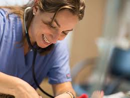 ANF 2013 Annual Report