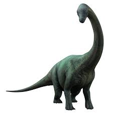 Also known as the brontosaurus, this giant dinosaur is one of the largest animals to have walked on earth, reaching an amazing 23m (75ft) in length and 23 tons in. Pin On Jurassicworld