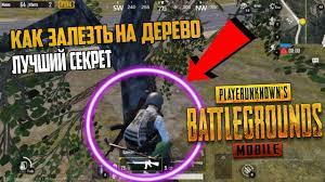 Pubg Mobajl Sekret Kak Zalezt Na Derevo Luchshie Sovety I Hitrosti Pubg Mobile Youtube