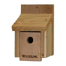 This provides sufficient space for the birds' safety and comfort while brooding, but without being so large that more aggressive birds or other predators can invade the house. Wren House Dimensions Hole Size Material Types
