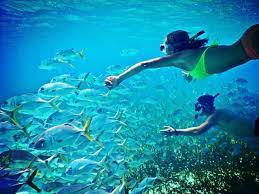 Snorkeling Is A Favorite Adventure In Belize Belize Snorkeling Belize Vacation Belize Resor Beautiful Places Most Beautiful Places Places Around The World