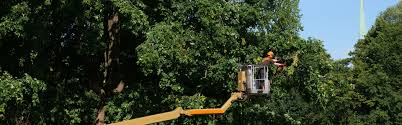 Ein sehr gutes, familiäres betriebsklima ein abwechslungsreiches tätigkeitsfeld überdurchschnittliche entlohnung abhängig von der beruflichen. Osbahr Garten Landschaftsbau Fur Norddeutschland
