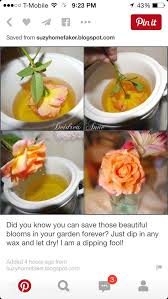 Check spelling or type a new query. Diy Idea To Preserve Flowers In Wax How To Preserve Flowers Wax Flowers Diy Arts And Crafts