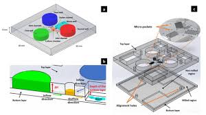 This 3ds max video tutorial will show you how to create Biosensors Free Full Text A Disposable Passive Microfluidic Device For Cell Culturing Html