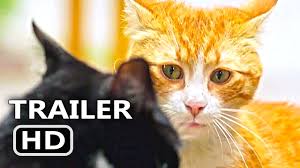 Kedi Official Trailer Clip 2017 Cats Documentary Movie Hd Youtube