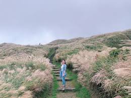 Places taipei, taiwan community organizationgovernment organization 陽明山國家公園. é½æå±±è'è± å¦ç½æµªä¾è¥² é¿äººæ½®æ¶åä¸å±±æåç§æ¥å¤¢å¹» Ettodayæéé² Ettodayæ°èé²