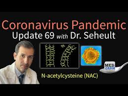 Coronavirus Pandemic Update 47 Searching For Immunity Boosters Possible Lessons From Spanish Flu Youtube