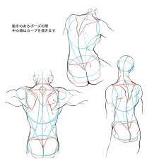 How to draw the human back muscles, reference of trapezius muscle. 180 Character Anatomy Back Ideas Anatomy Back Anatomy Character Design