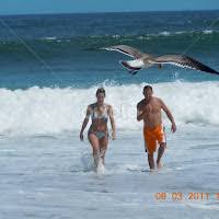 Anne-Marie Mantz Lawhorn's Profile