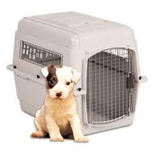 Pak mail pittsburgh crate & ship can pack and ship anything anywhere regardless of size. Furry Flyers