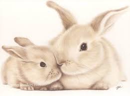 Portrait D Animaux D Apres Photo Aux Crayons De By Matantege 140 00 Avec Images Lapin Art Dessin D Animal Art Bebe