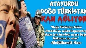 Bu hayasız, bu alçakça zulmü seyretmektedir. Kampanya Dogu Turkistan Cin Zulmu Altinda Inliyor Change Org