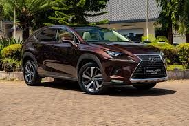 Image result for Matador Red 2018 NX