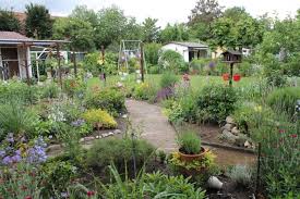 Gleichzeitig kann ein gepachteter garten aber auch jede menge arbeit machen. Kleingarten Stadt Koln
